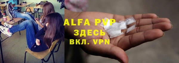 сатива Алексин