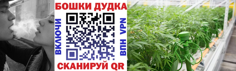 Бошки марихуана MAZAR продажа наркотиков Хотьково